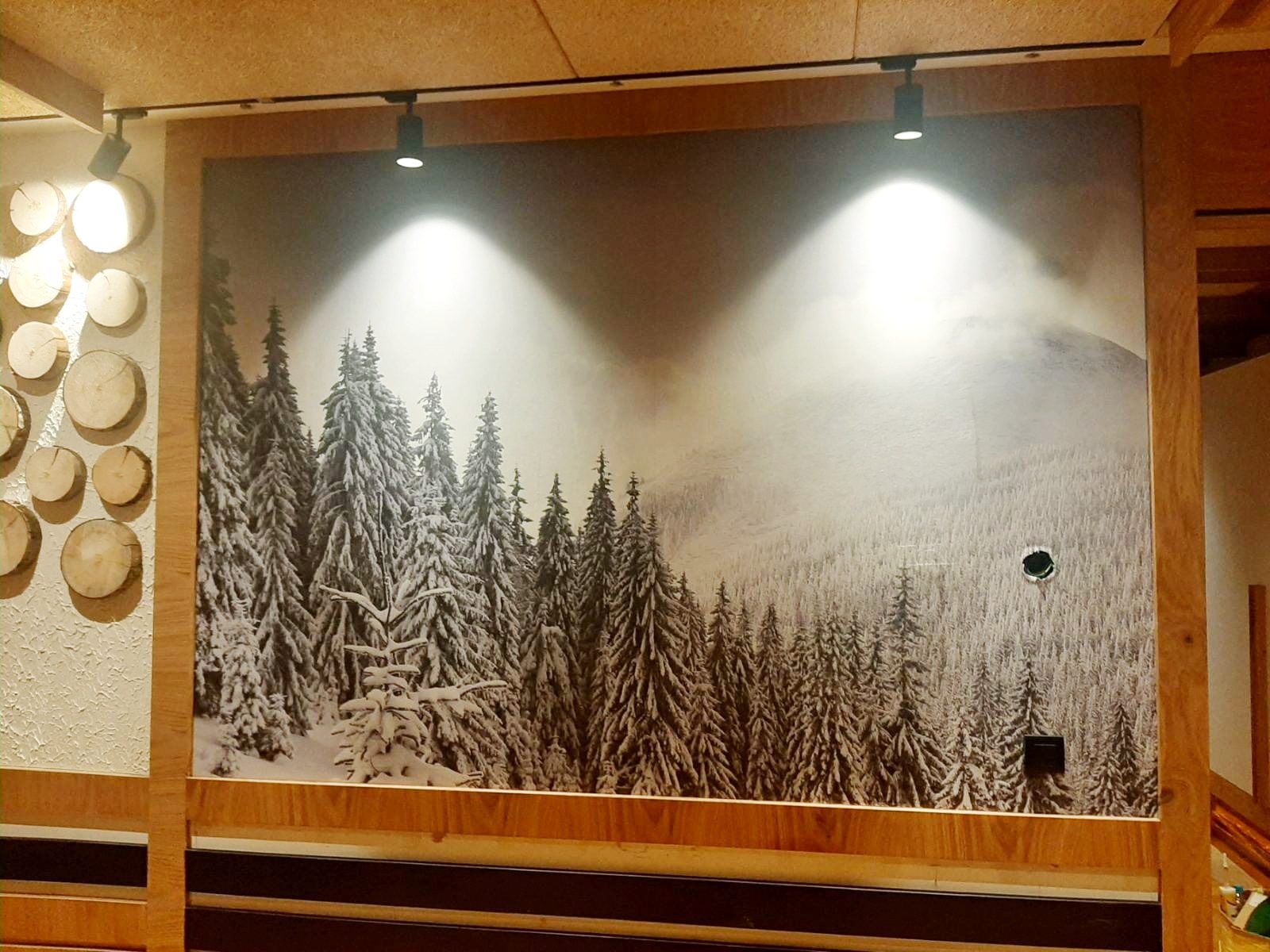 Zidna grafika sa zimskim šumskim motivom ispod reflektora
